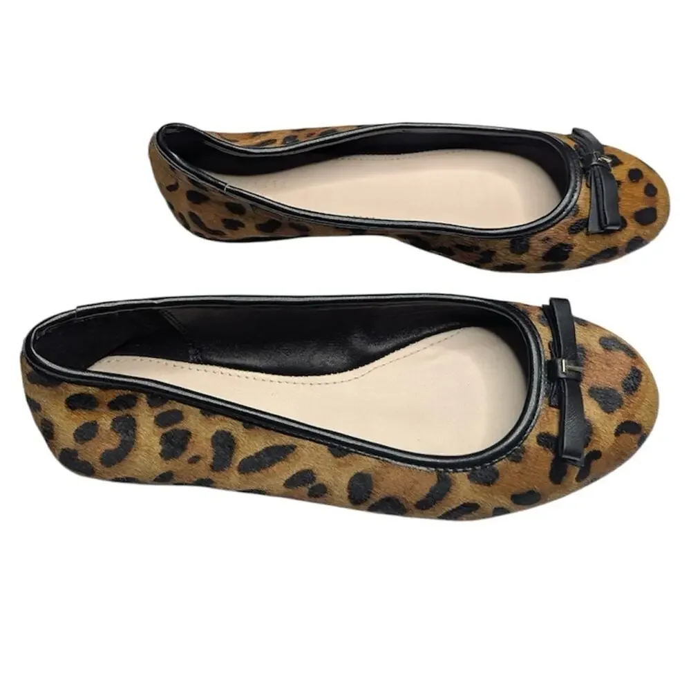 Ted Baker ted baker